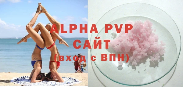 гашик Нефтекумск