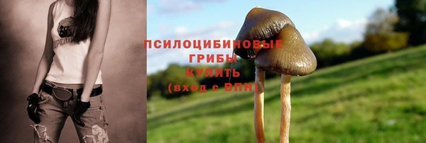 ECSTASY Новозыбков