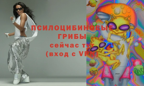 ECSTASY Новозыбков