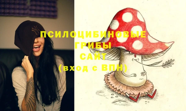 гашик Нефтекумск
