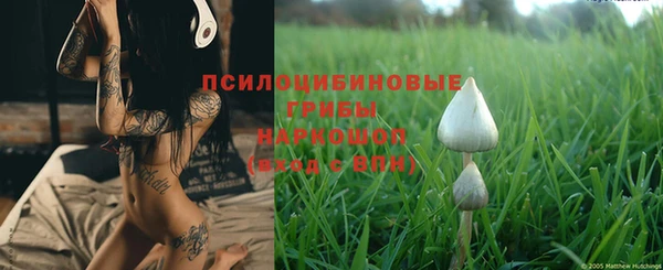 ешки Соликамск