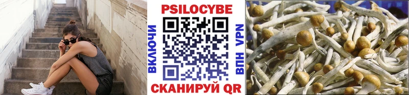Псилоцибиновые грибы Magic Shrooms  Красный Холм 